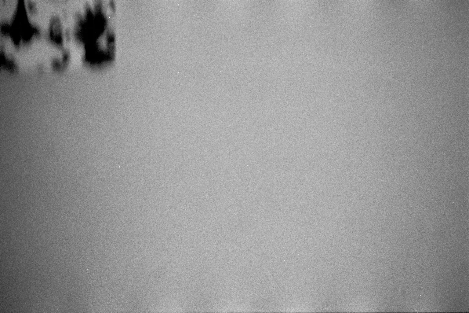 The original scanned image...