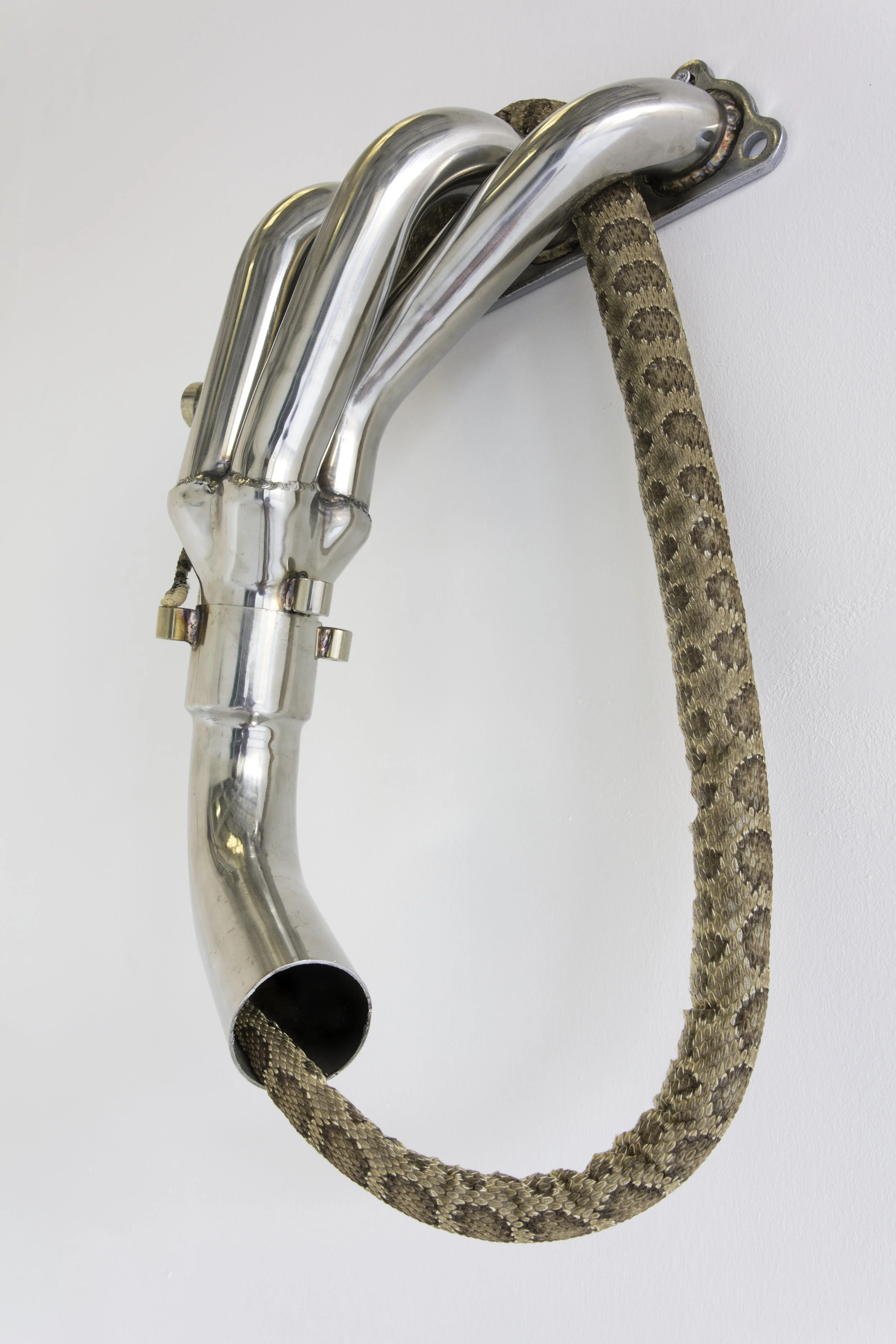 cryptid stainless steel exhaust manifold, rattlesnake skin, cotton