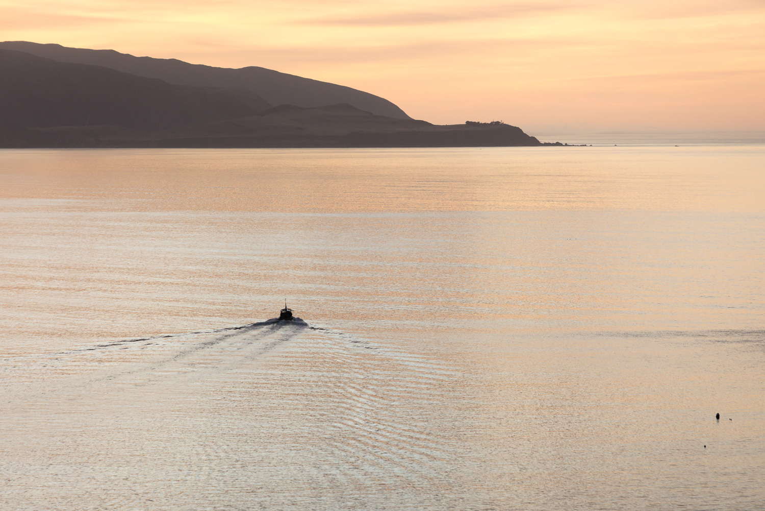 A fishing boat heads out from Island Bay at sunrise, the golden sky reflected in the calm water.