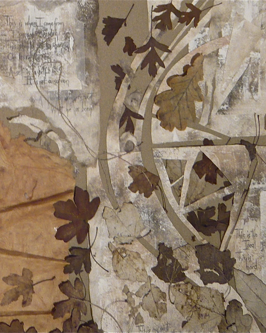 P1020535.jpg