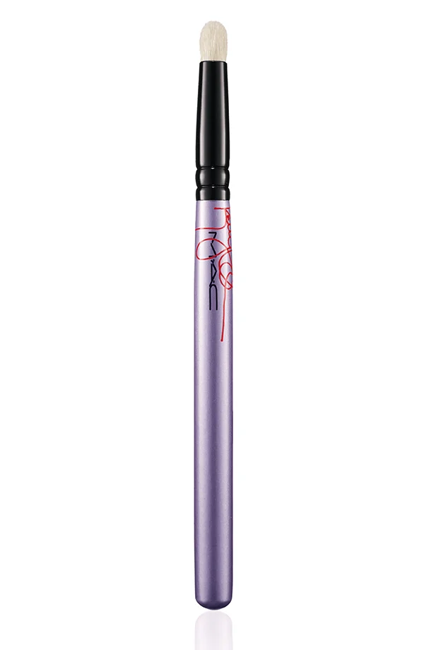 BRUSH 219SE PENCIL PHP 1,760