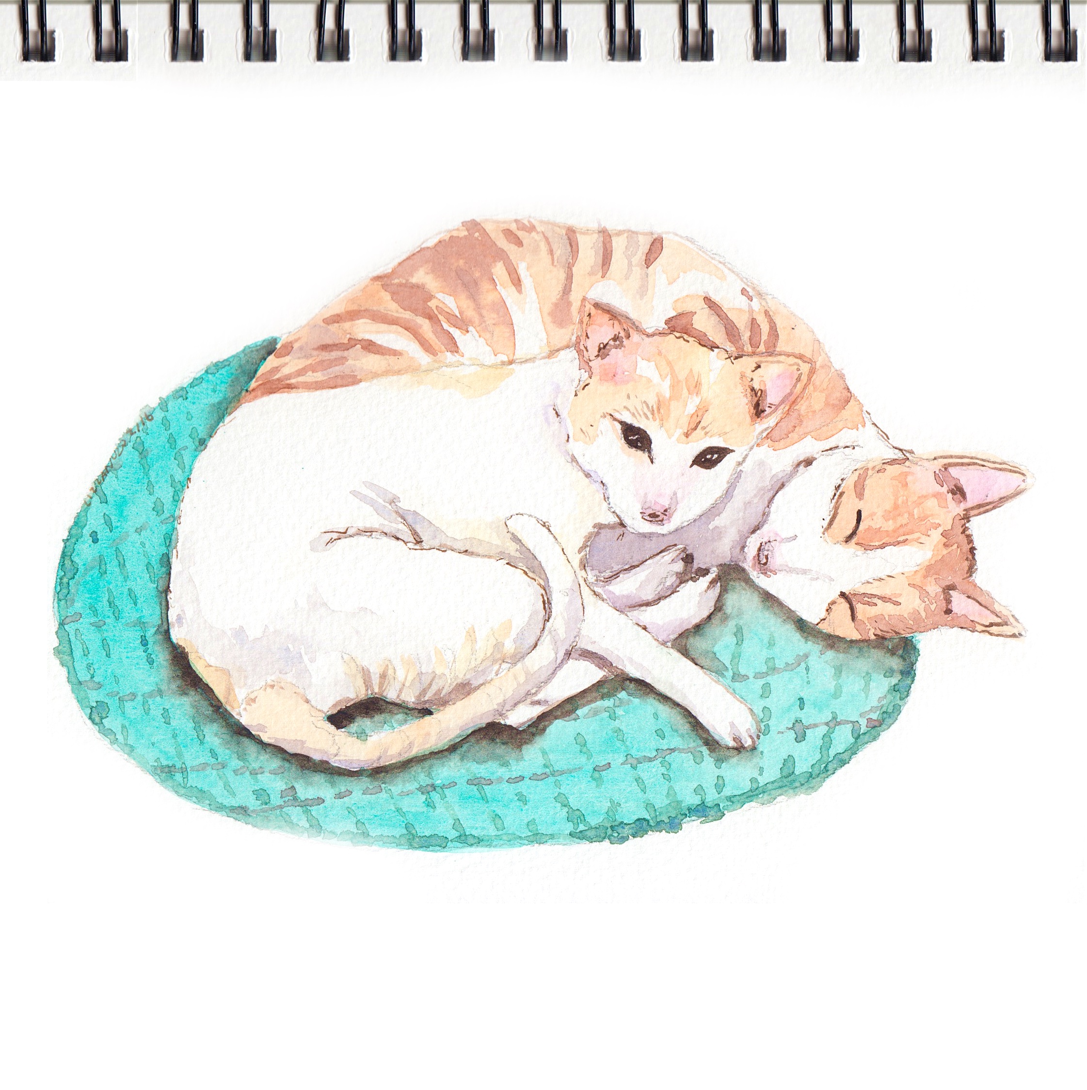Cats on a teal rug / Watercolor on paper by Liz Lanuzo
