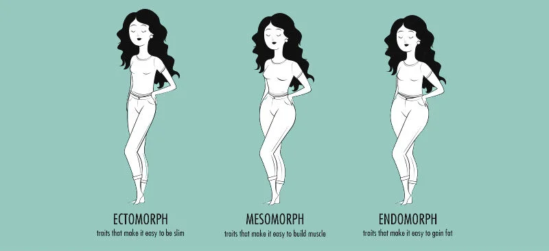 Which body type do you have? — Project Vanity