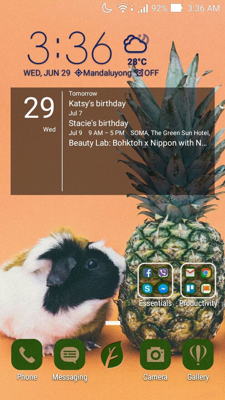 CUSTOMIZED HOME SCREEN. I'm currently using the Earth Day icon pack (free from Zen UI) and this cute photo I found in their extensive Wallpaper collection. Clock and weather widget comes with the phone while the calendar is by Simple Calendar.