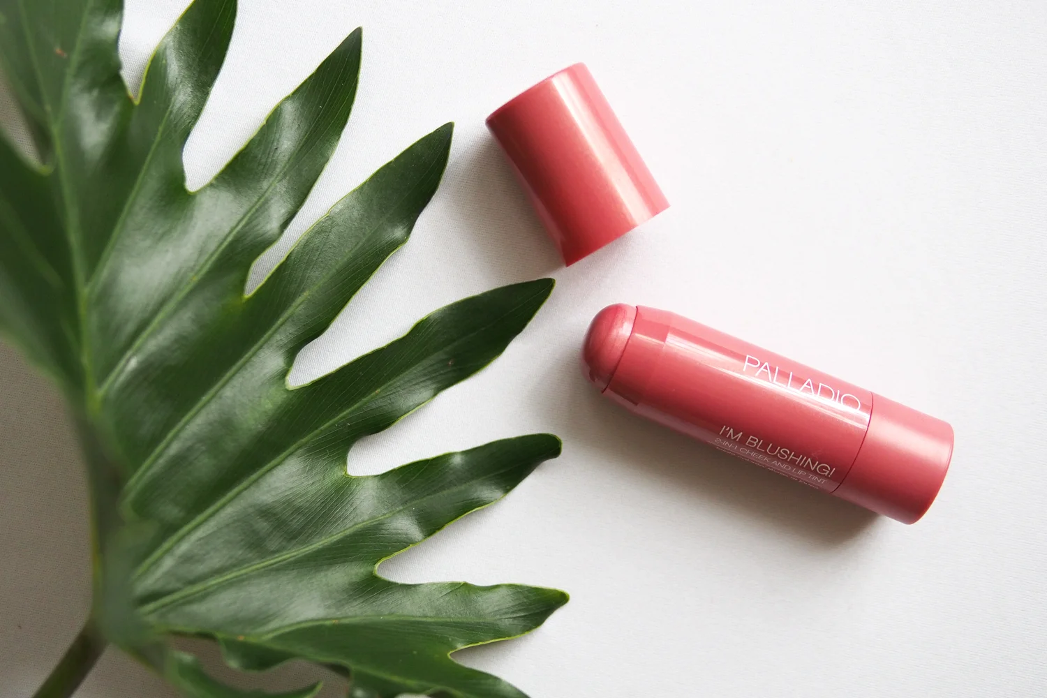 Palladio Lip Cheek.jpg