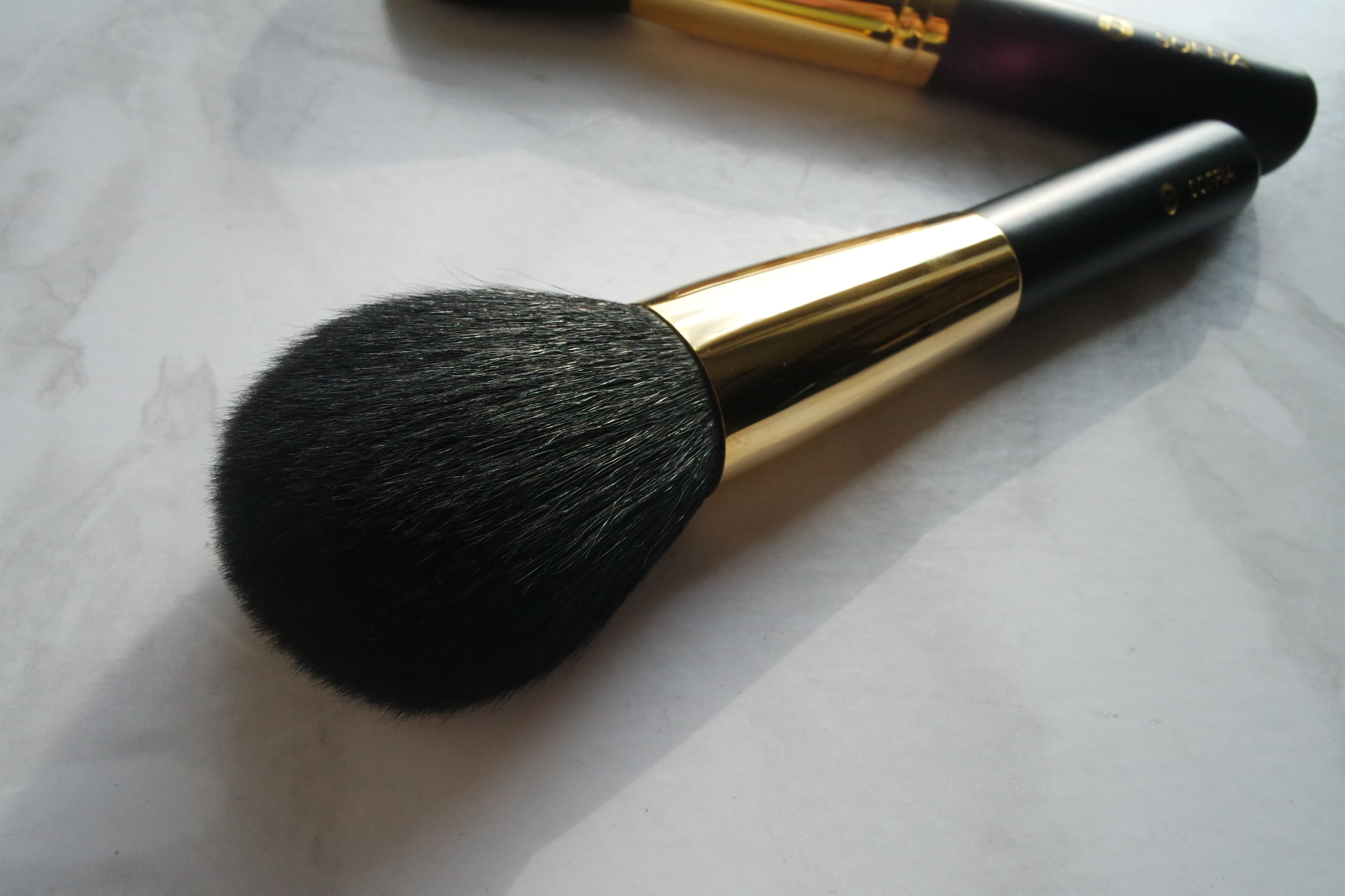 Opulence Soft Focus Brush (P2,850)