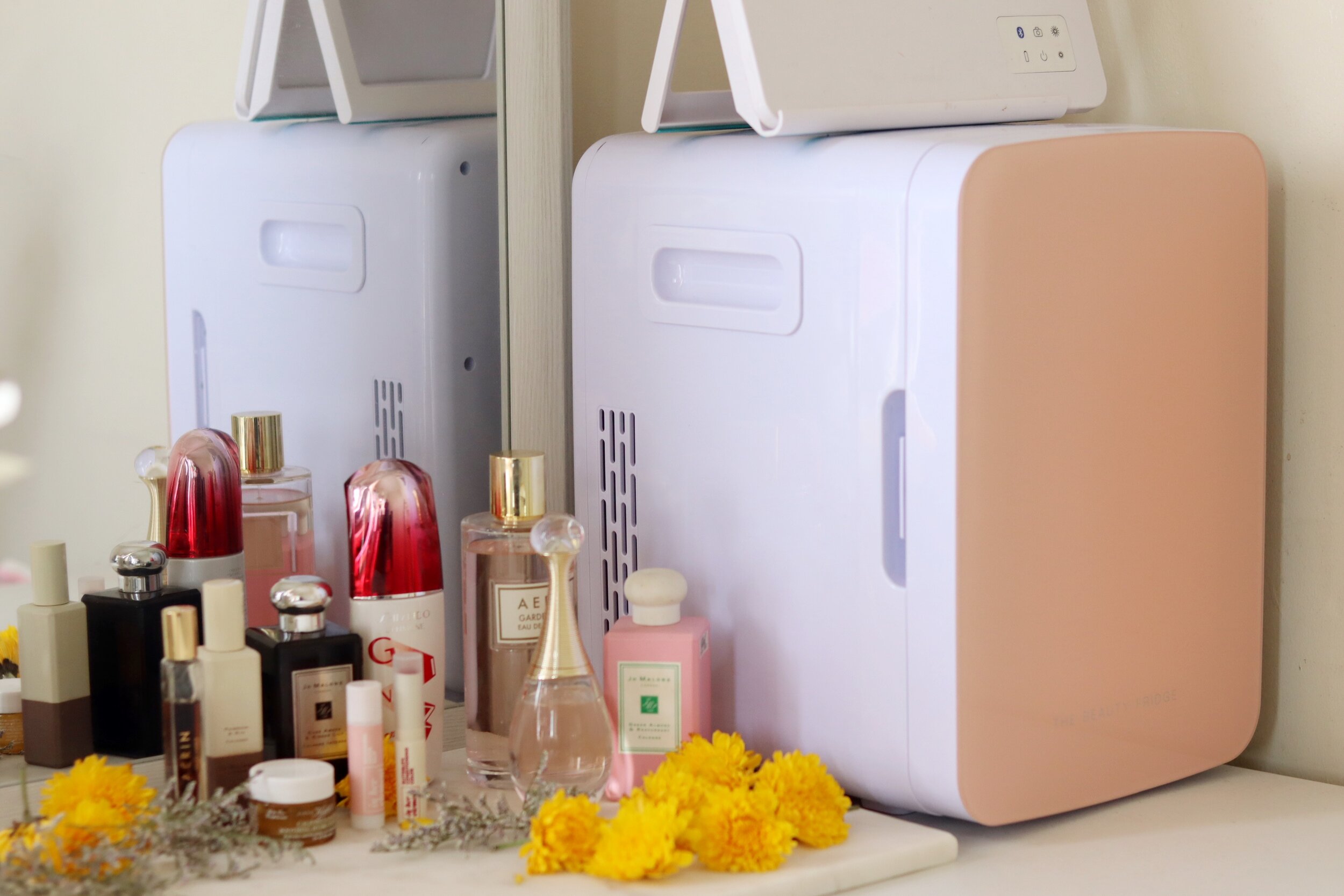 Do you really need a beauty fridge? The pros and cons of this IG