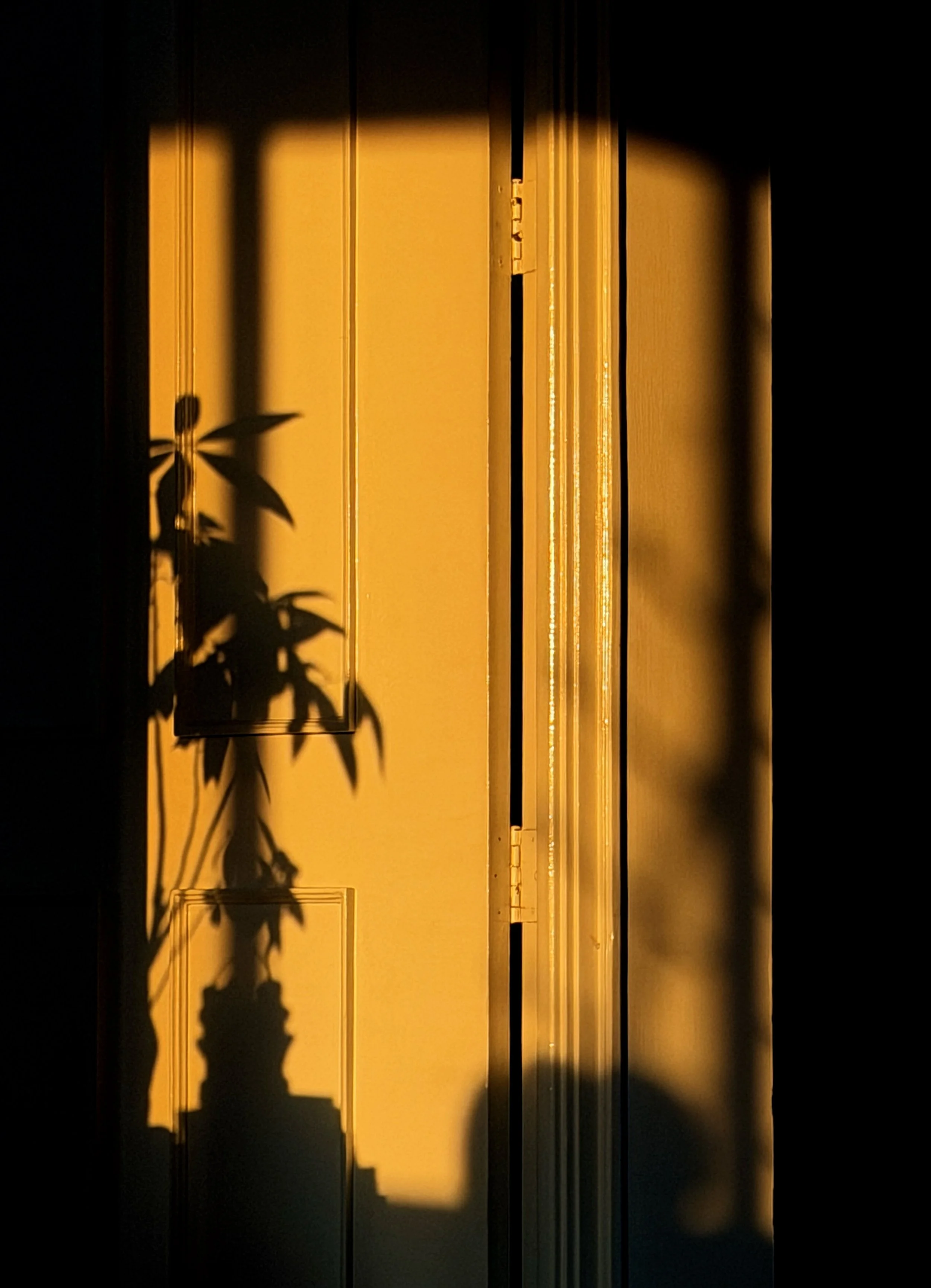 Monday Musings: My Relationship With AI