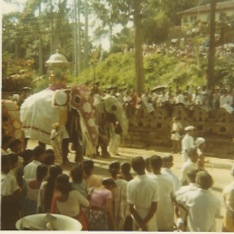Perehara Kandy 3.jpeg