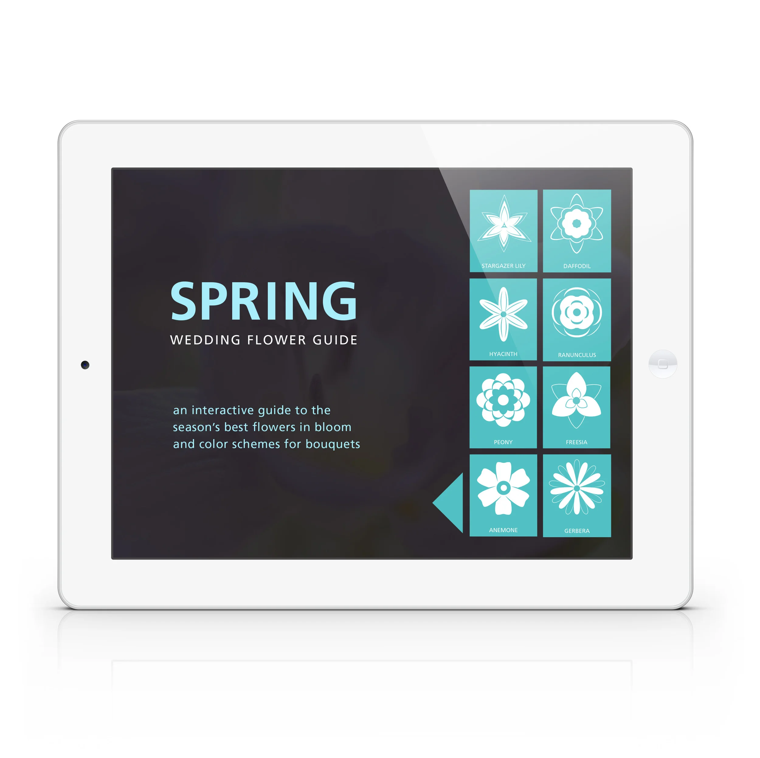 ipadmockup1.jpg