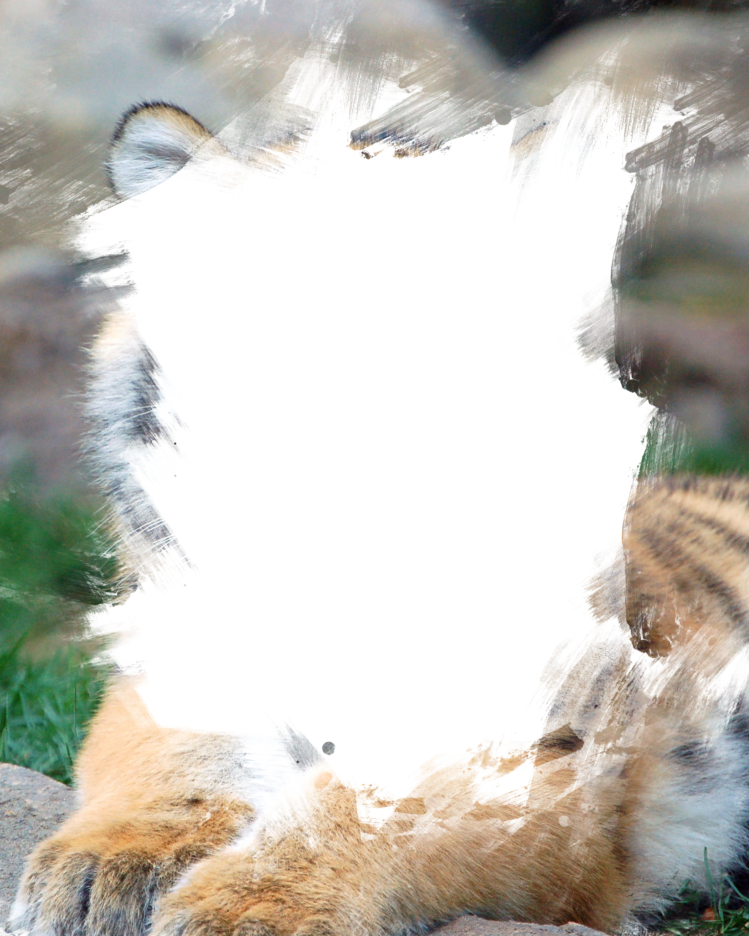 tiger cub2.png