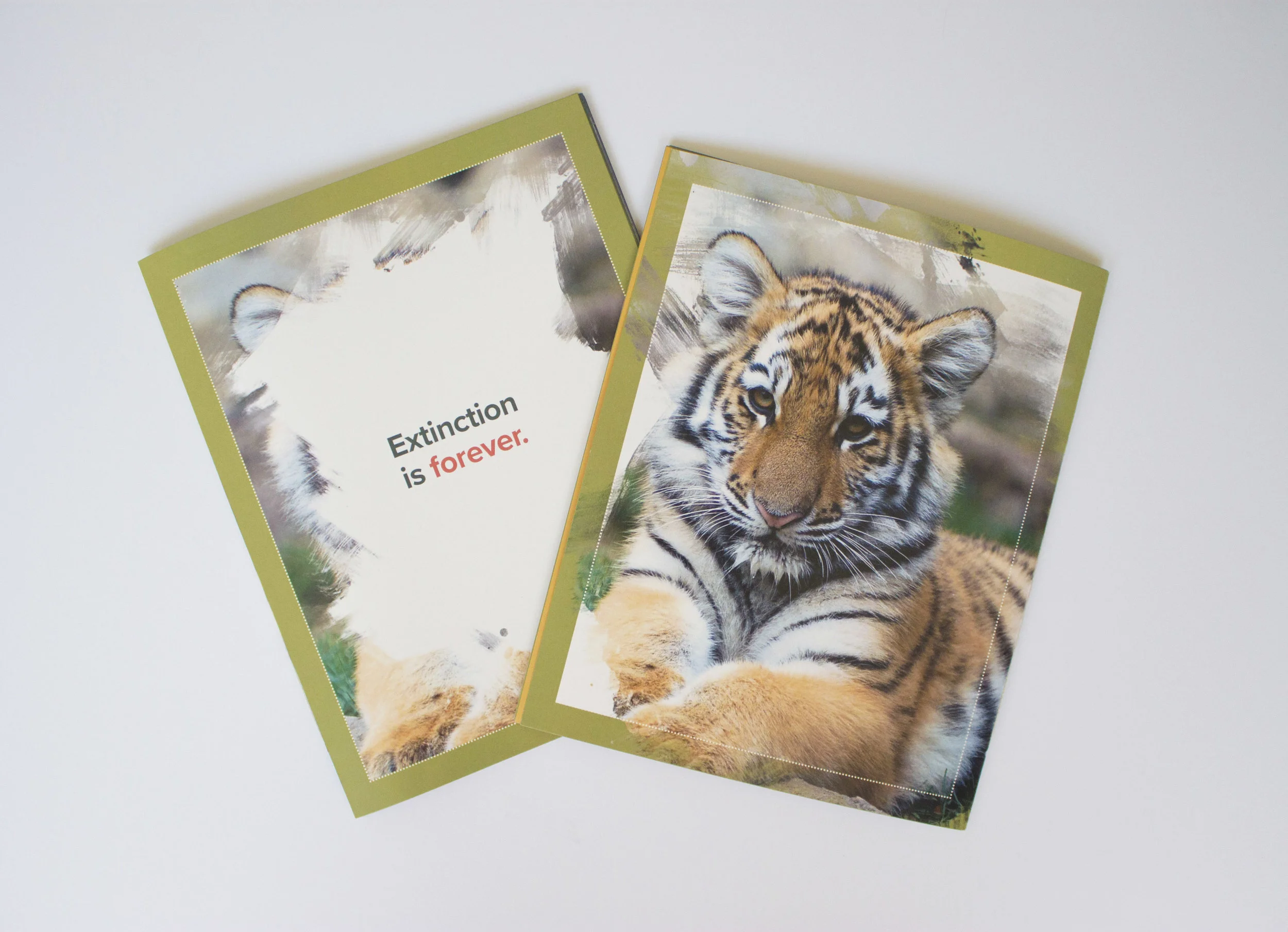 Repainting Wildlife Thumbnail.jpeg