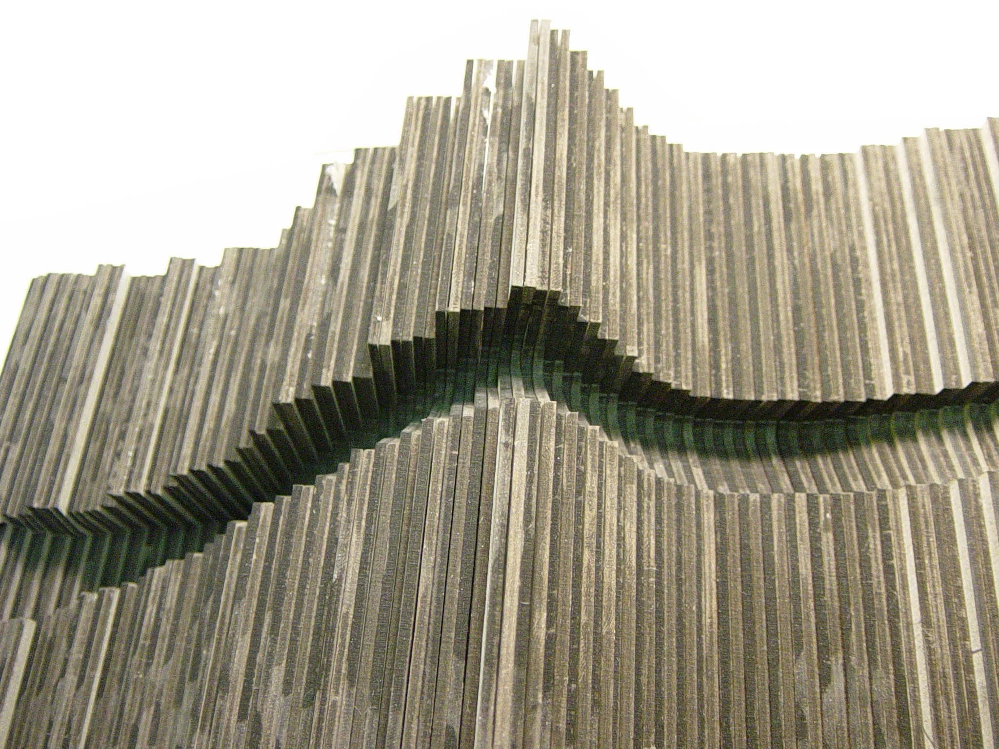 Worm_01_L.JPG