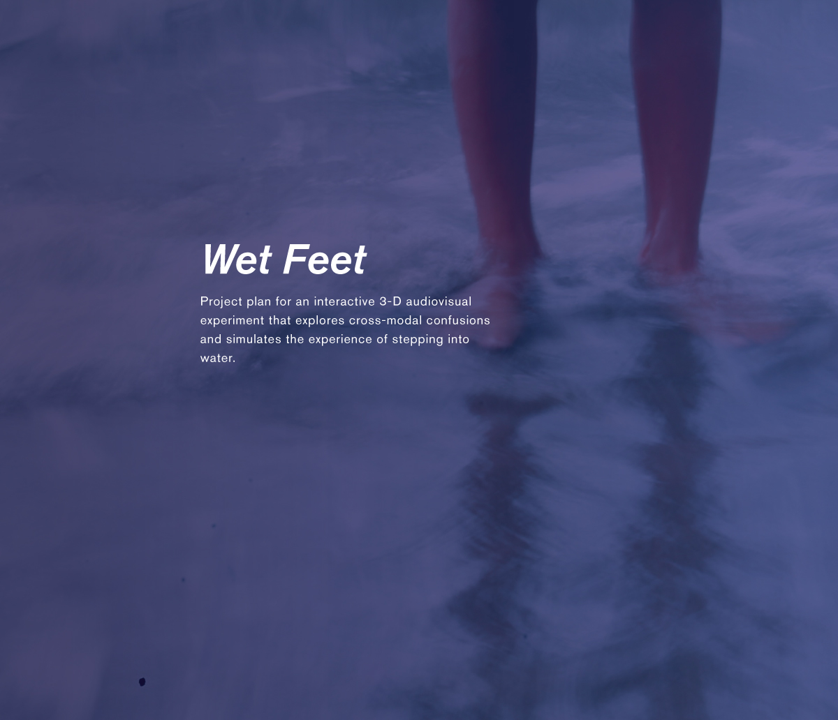 wet-feet-banner.jpg