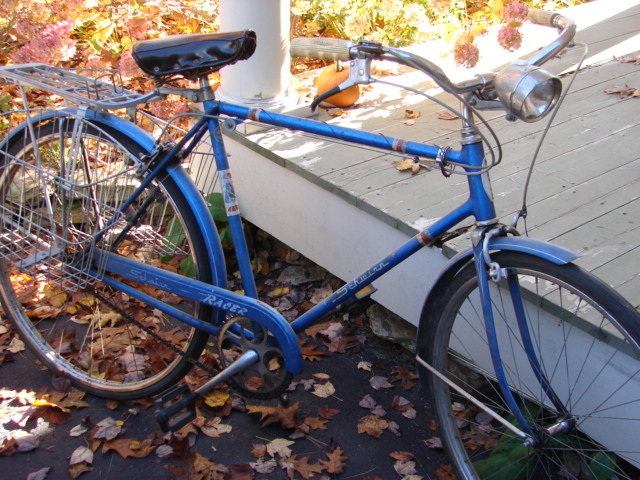 Blue Bike.JPG