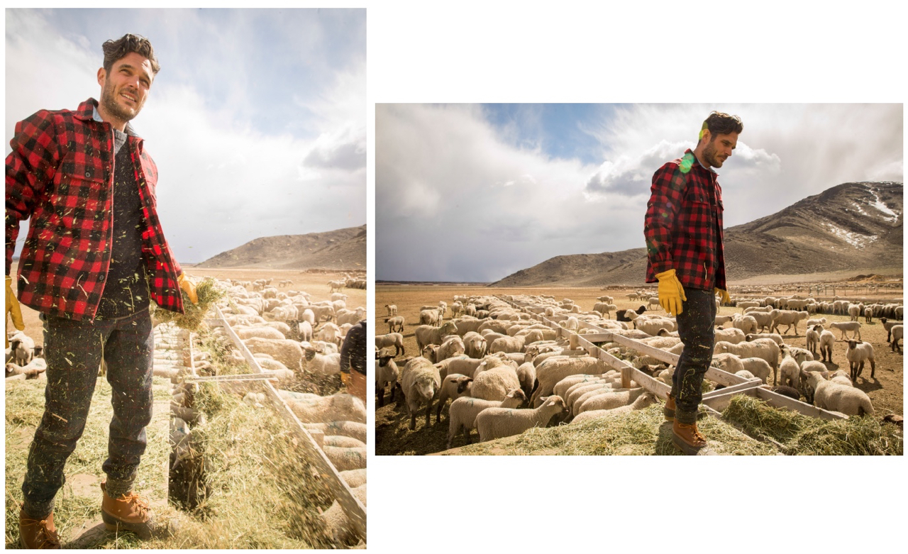 Wool Fall - 10.jpg