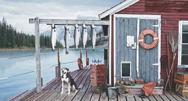 Salmon Oil - Maine Coast_187_CMYK 2.jpg