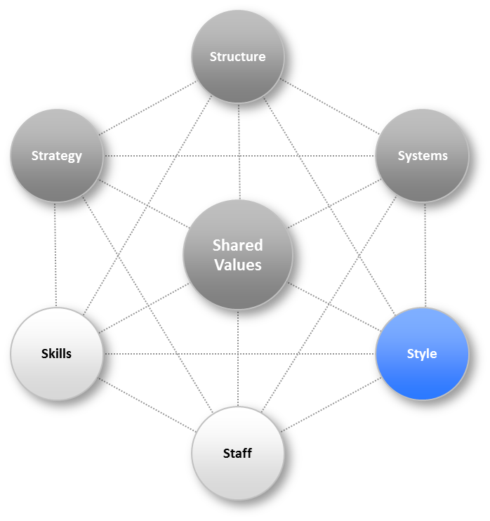 Organizational Review