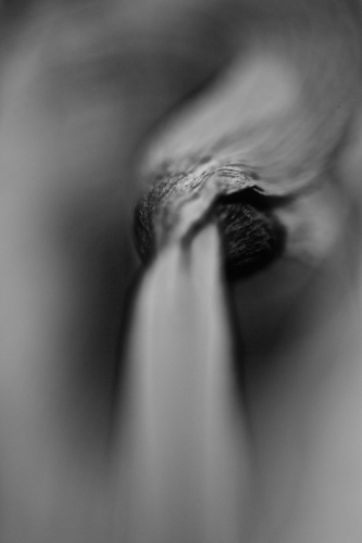 Release, Boulder, CO, 2015.jpg