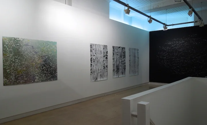 CROSS COUNTRY: LUKE ELWES, KATE PALMER, ANDREW VASS BROADBENT GALLERY LONDON 29 NOV - 15 DEC 2012 