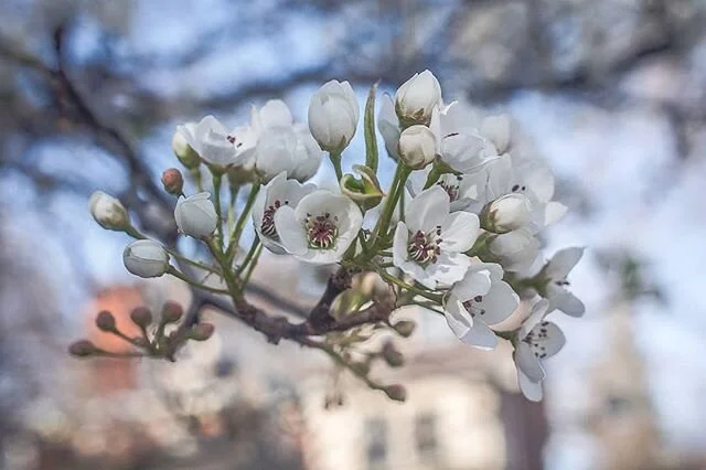 Who's pushing the pedals on the season cycle?