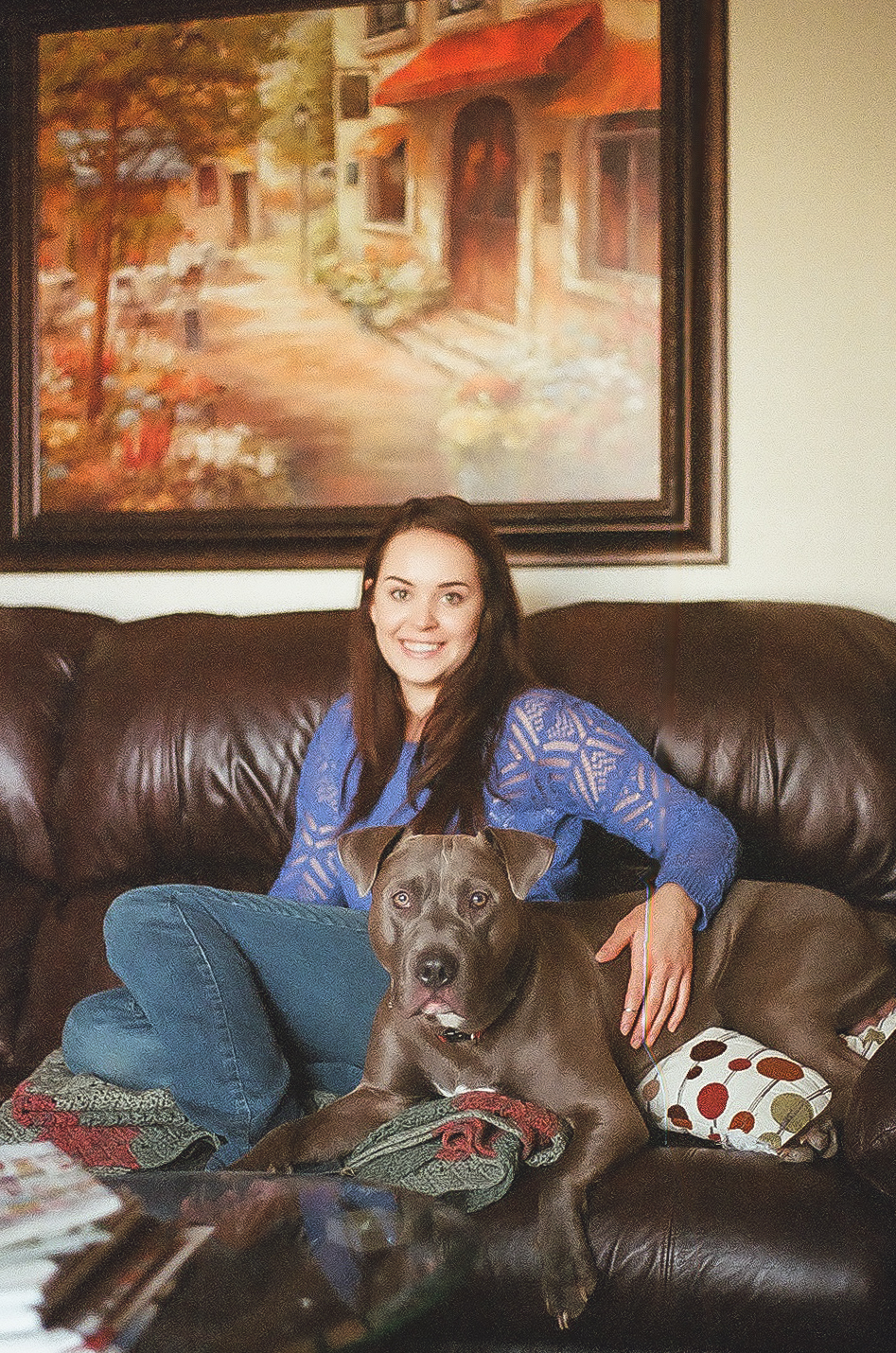 pet photography emily wilson photography lane wilson hugo boss the pit bull stay in your lane blog