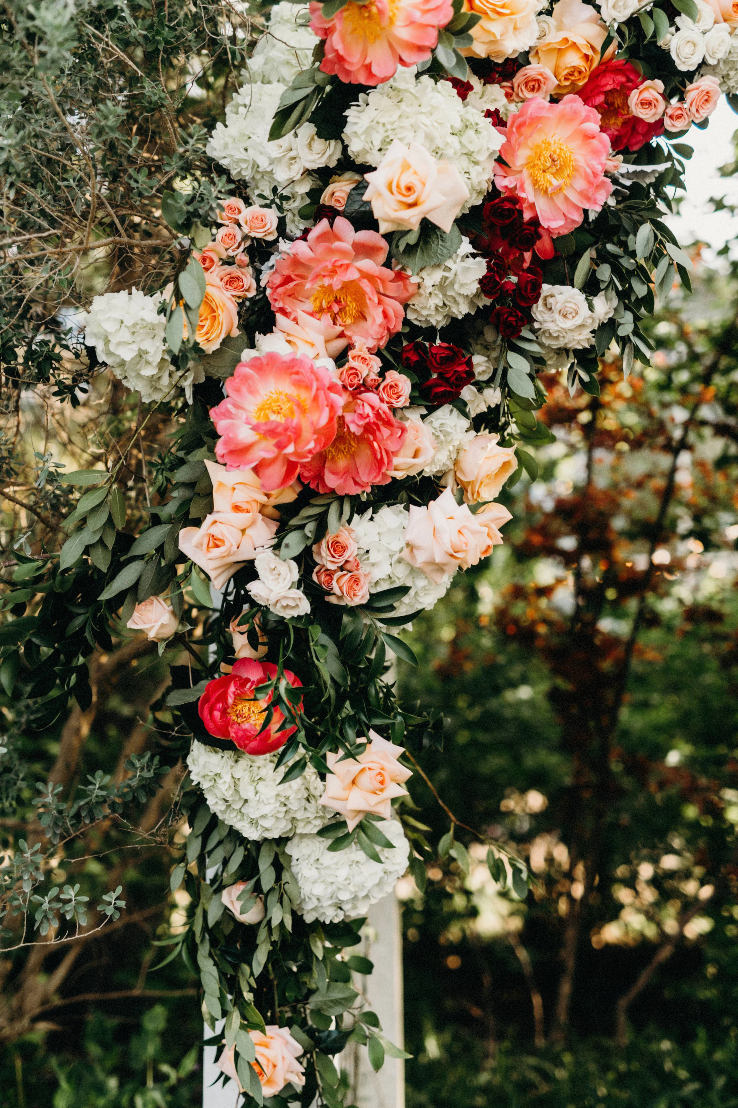 Austin wedding Photographer