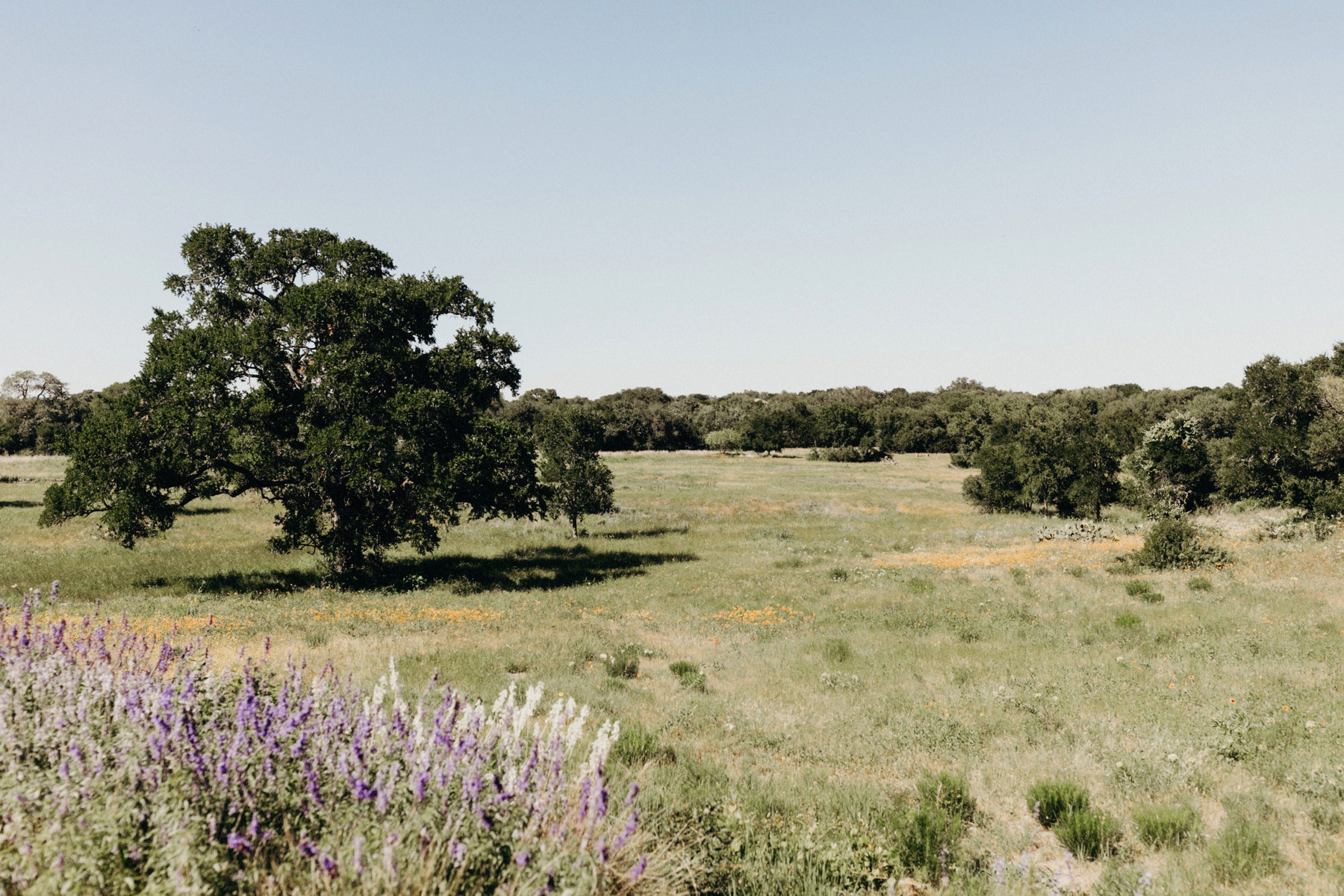 Austin Wedding Photographer, Gloria Goode Photography