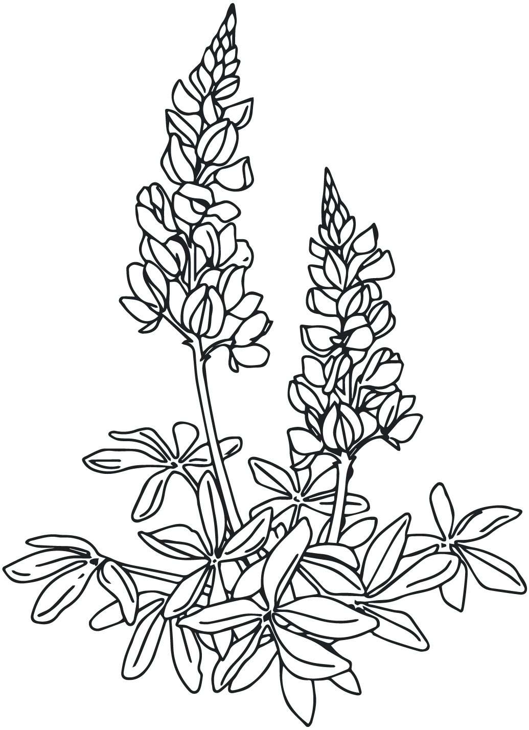 GG_Floral Icon_Grey.png