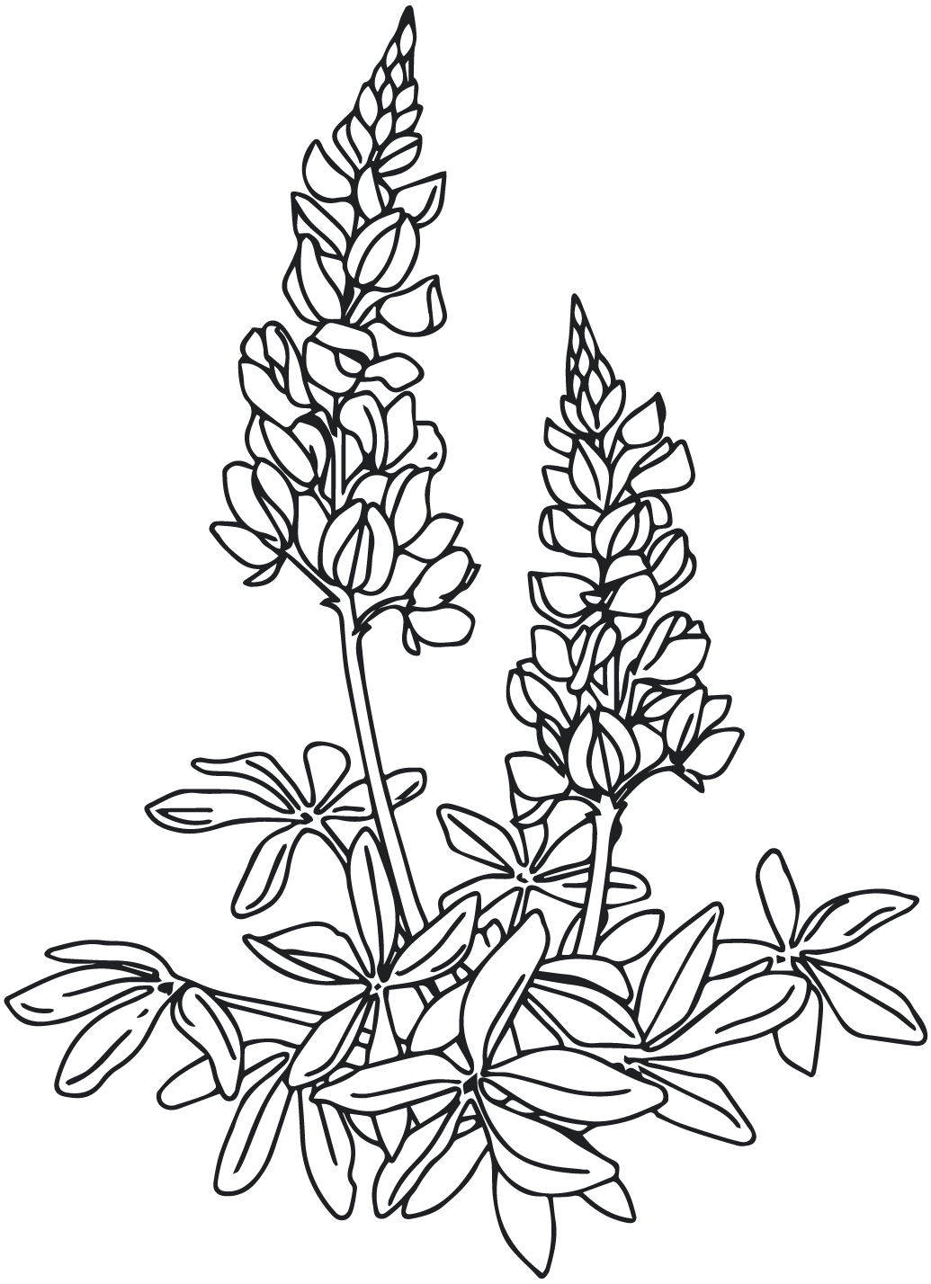 GG_Floral Icon_Grey.png