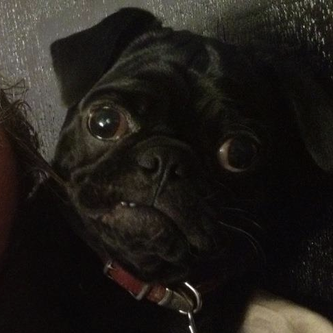 Bean.png