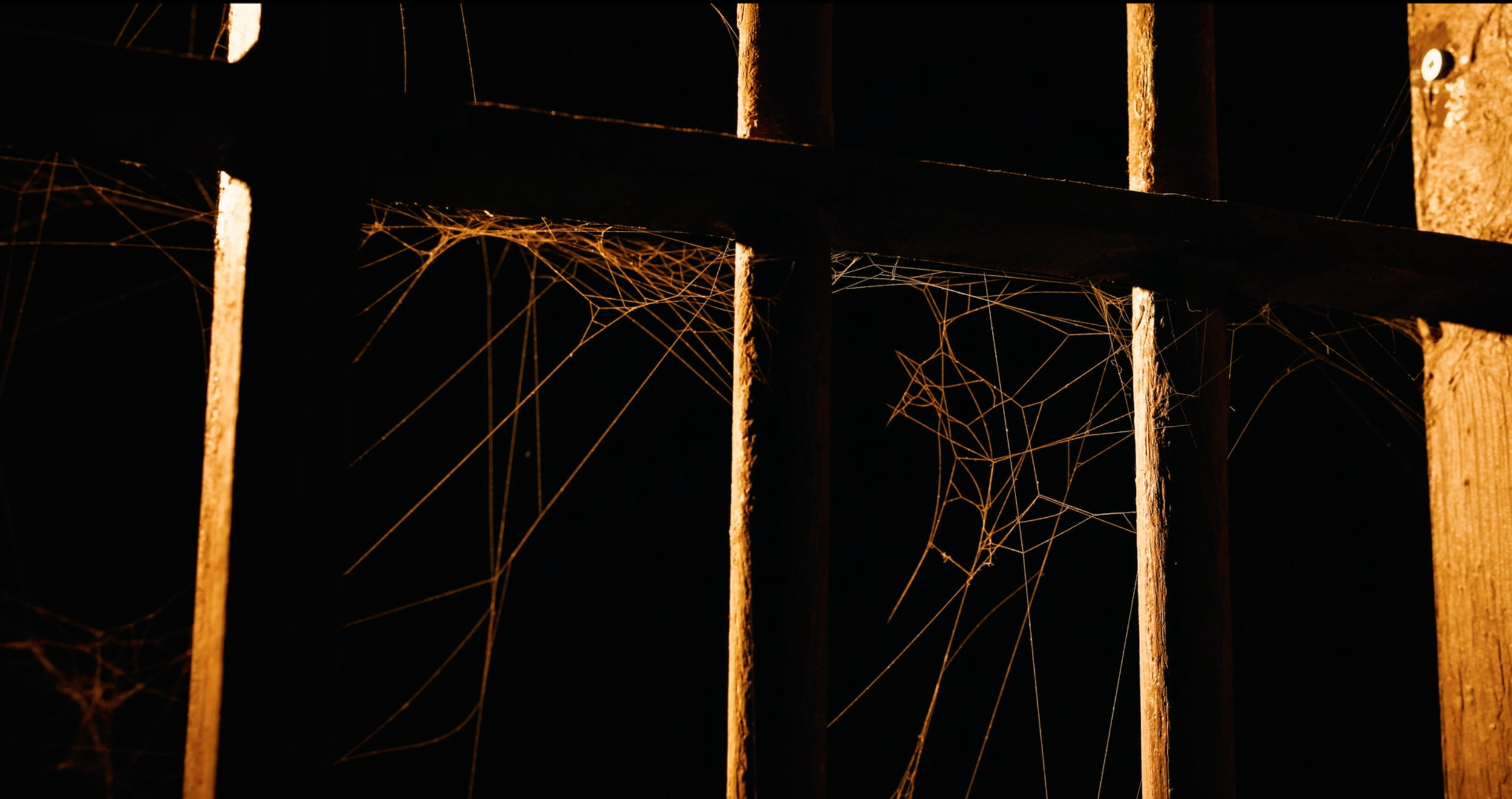 Rule #2 - Still 12.png