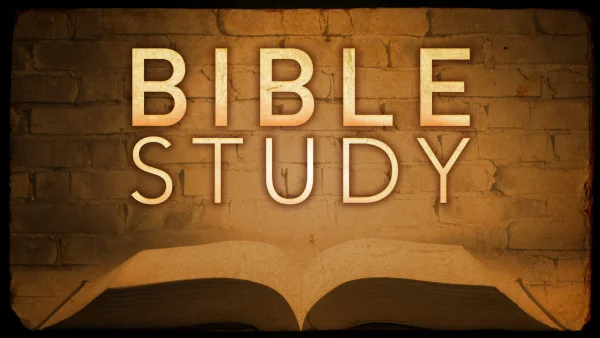 Bible Studies for Seekers