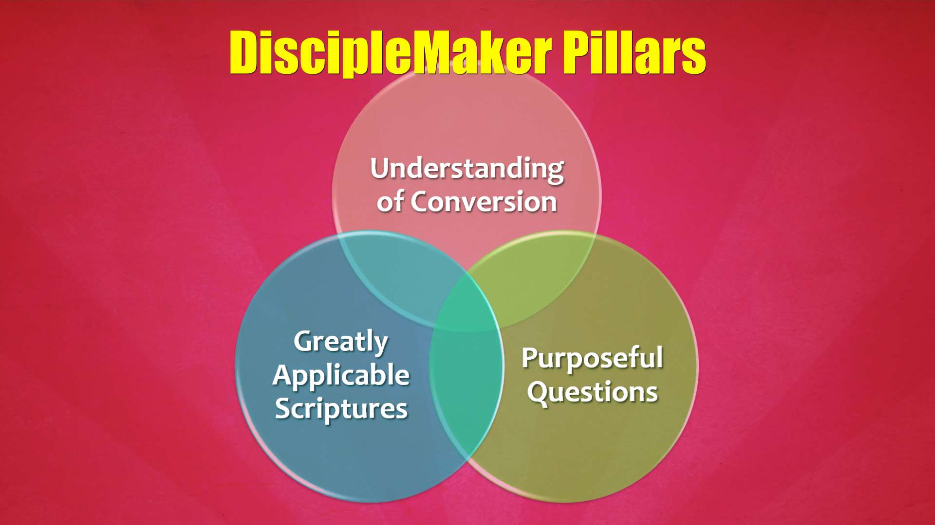 DiscipleMakers for Ministers MTA Extract.025.jpg