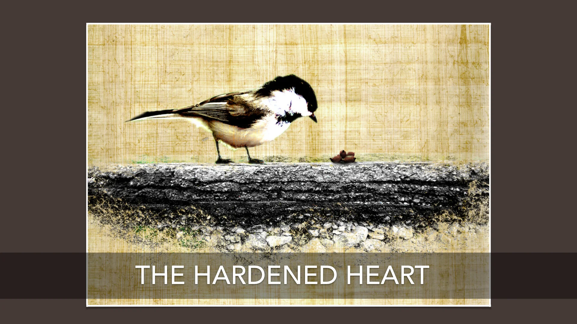 Luke 8115 The Parable of the Sower and the Soils — HAMPTON ROADS CHURCH