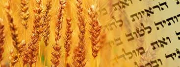 Amazing Fulfillments at Shavuot or Pentecost
