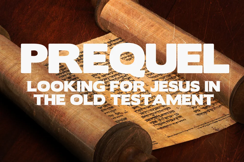 Prequel: Day -1, The Explanation