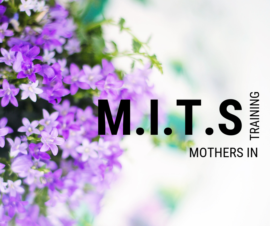 M.I.T.s Spring