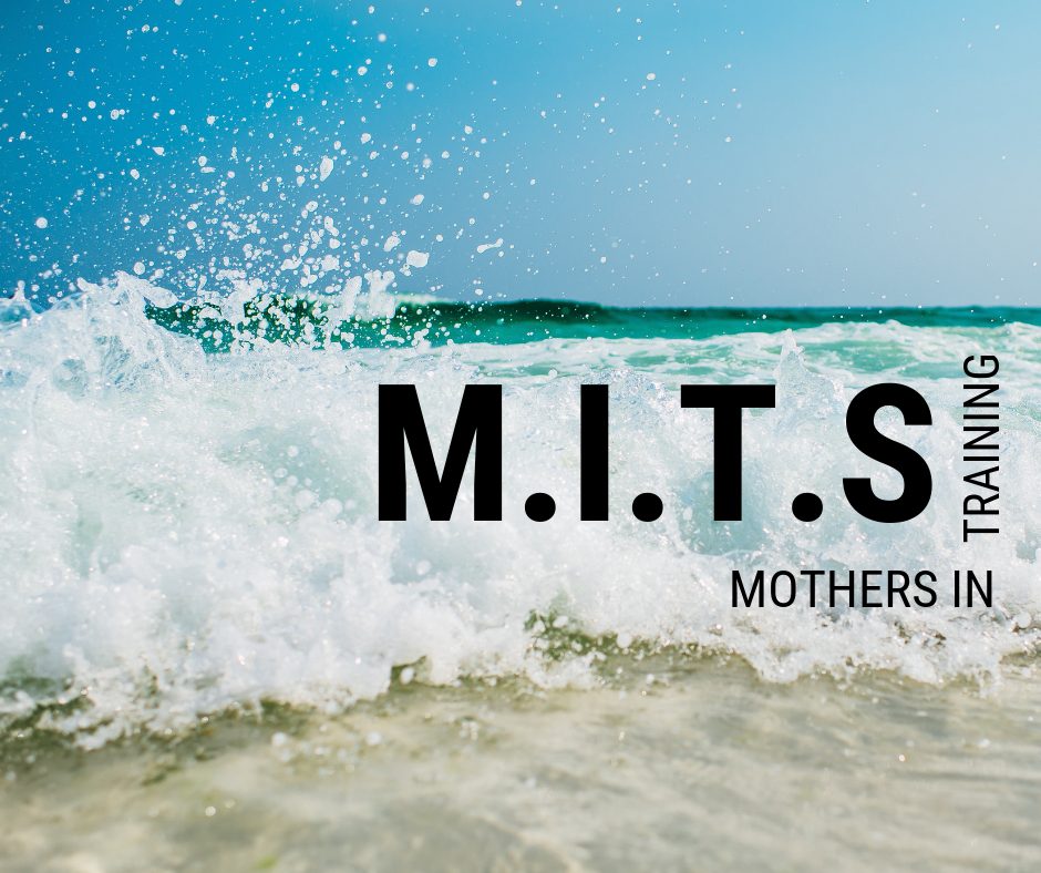 M.I.T.s Summer