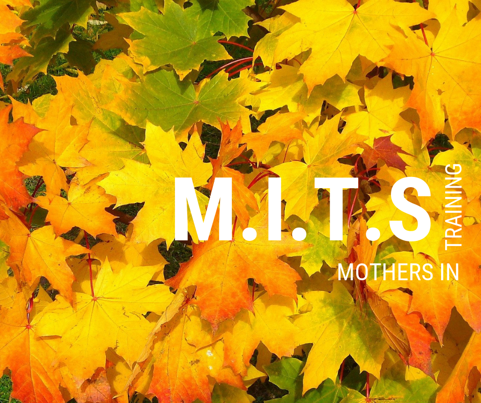 M.I.T.s Fall