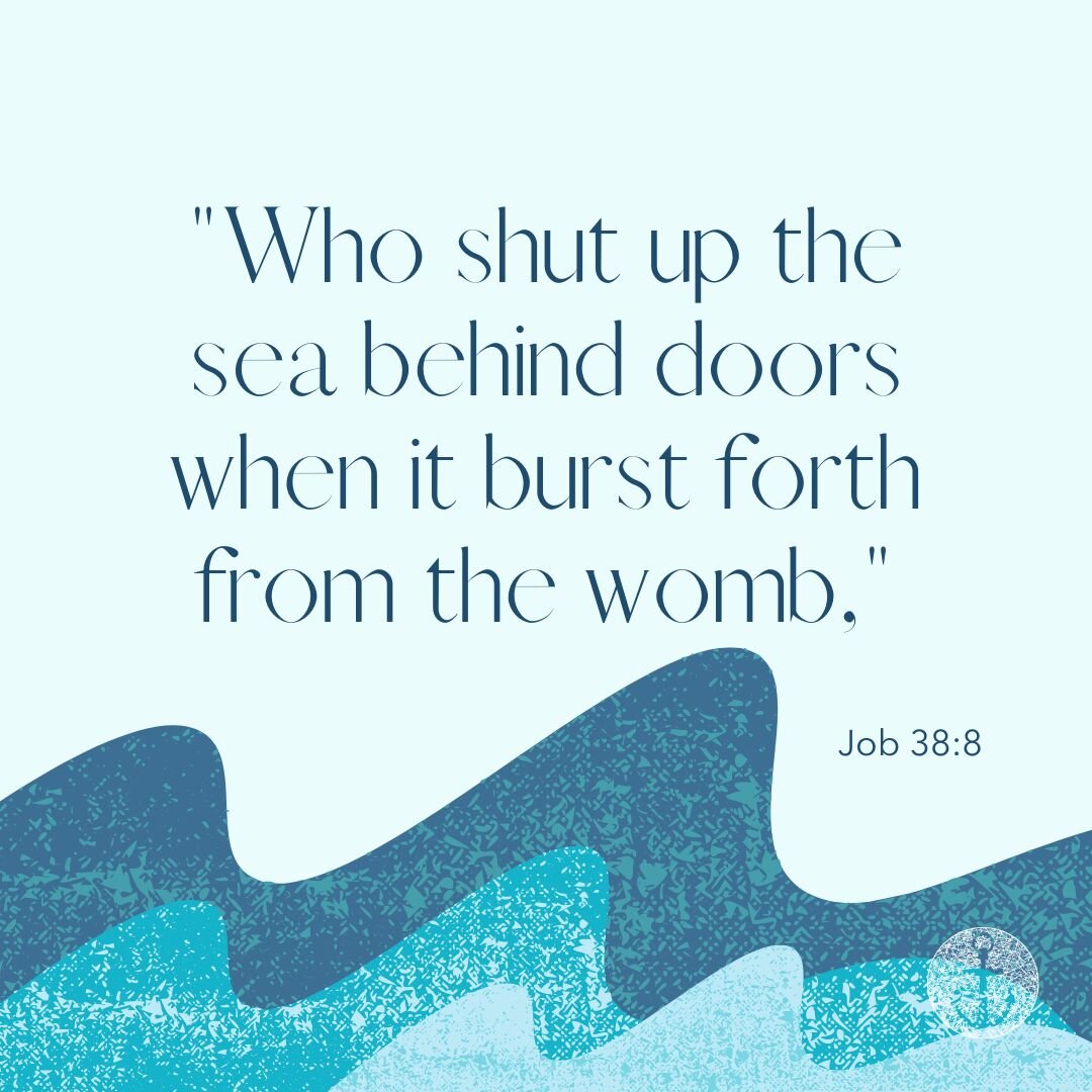 Then the Lord spoke to Job out of the storm. He said....
-Job 38
#scripture #biblestudy #bibleverse