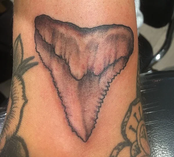 erik gillespie black and grey shark tooth tattoo -min.jpg