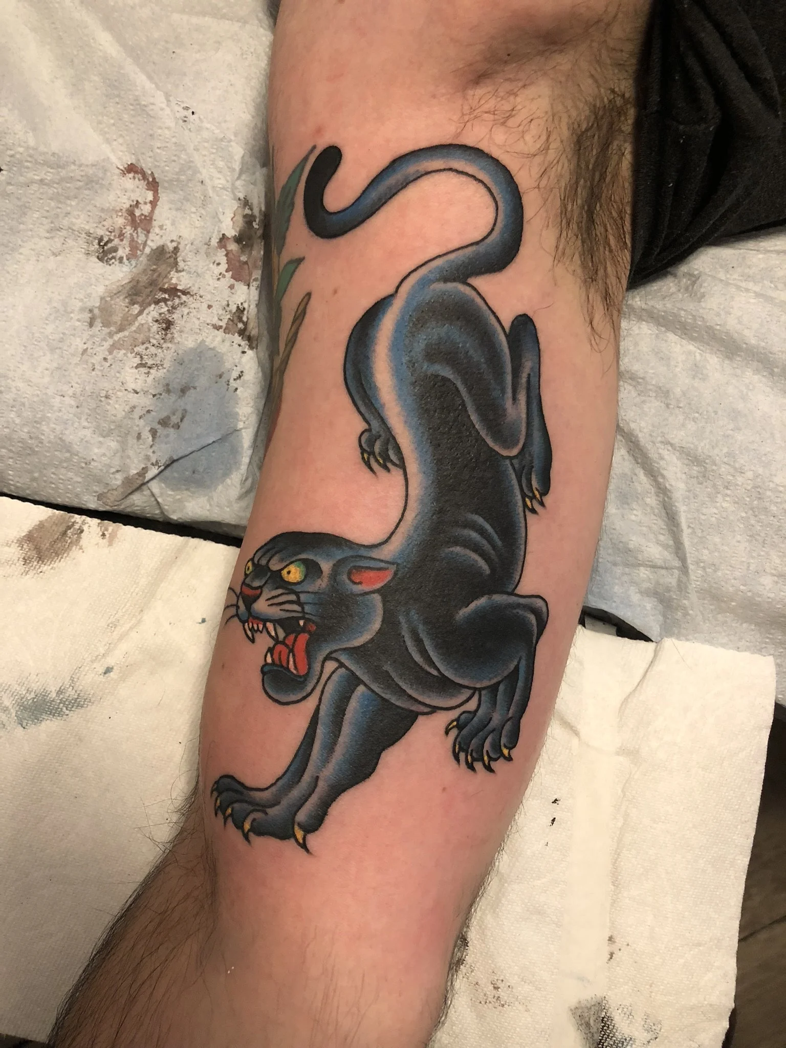 Matt "Beatdown" Ziolko 