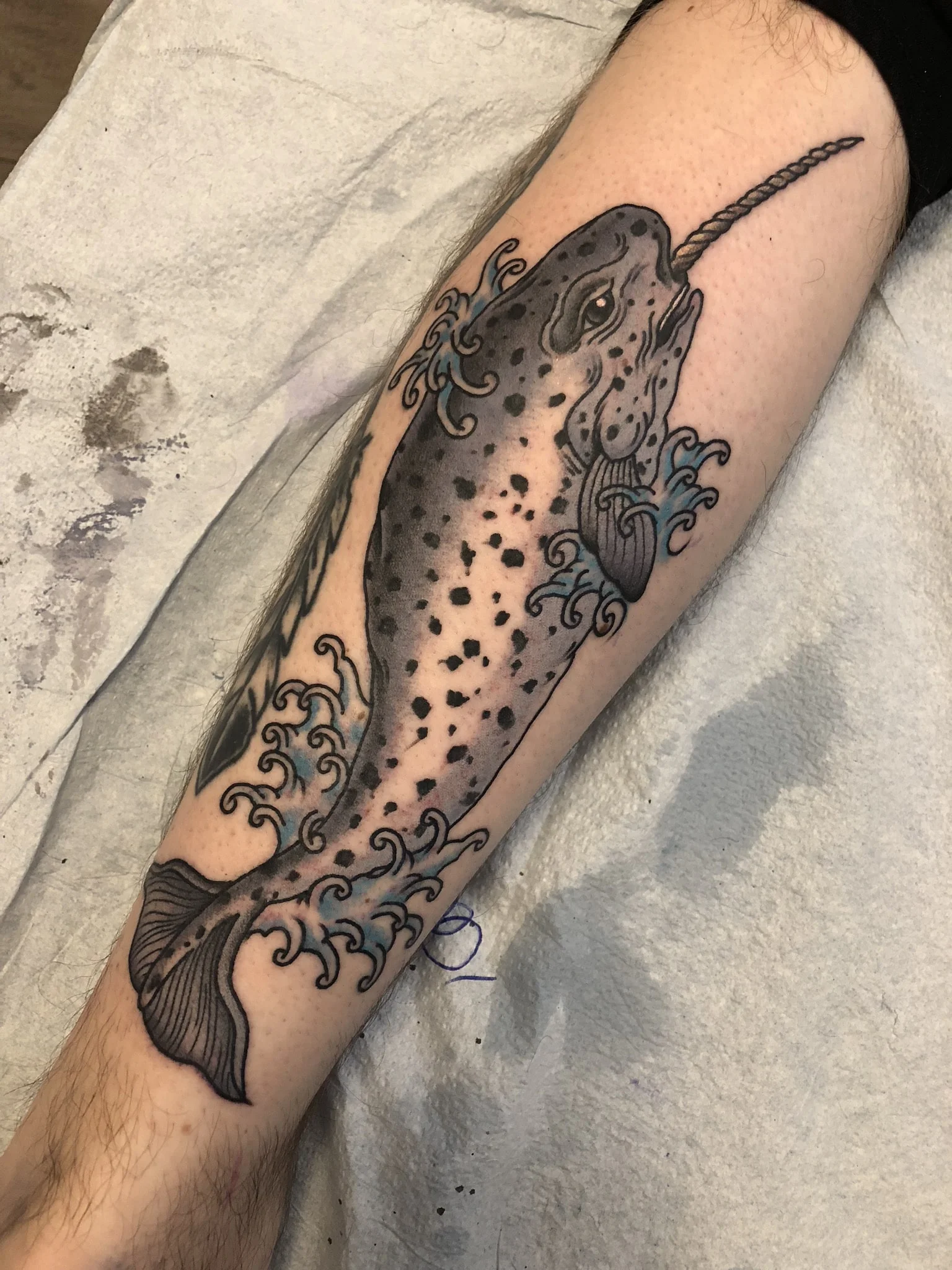 Matt "Beatdown" Ziolko // GLT