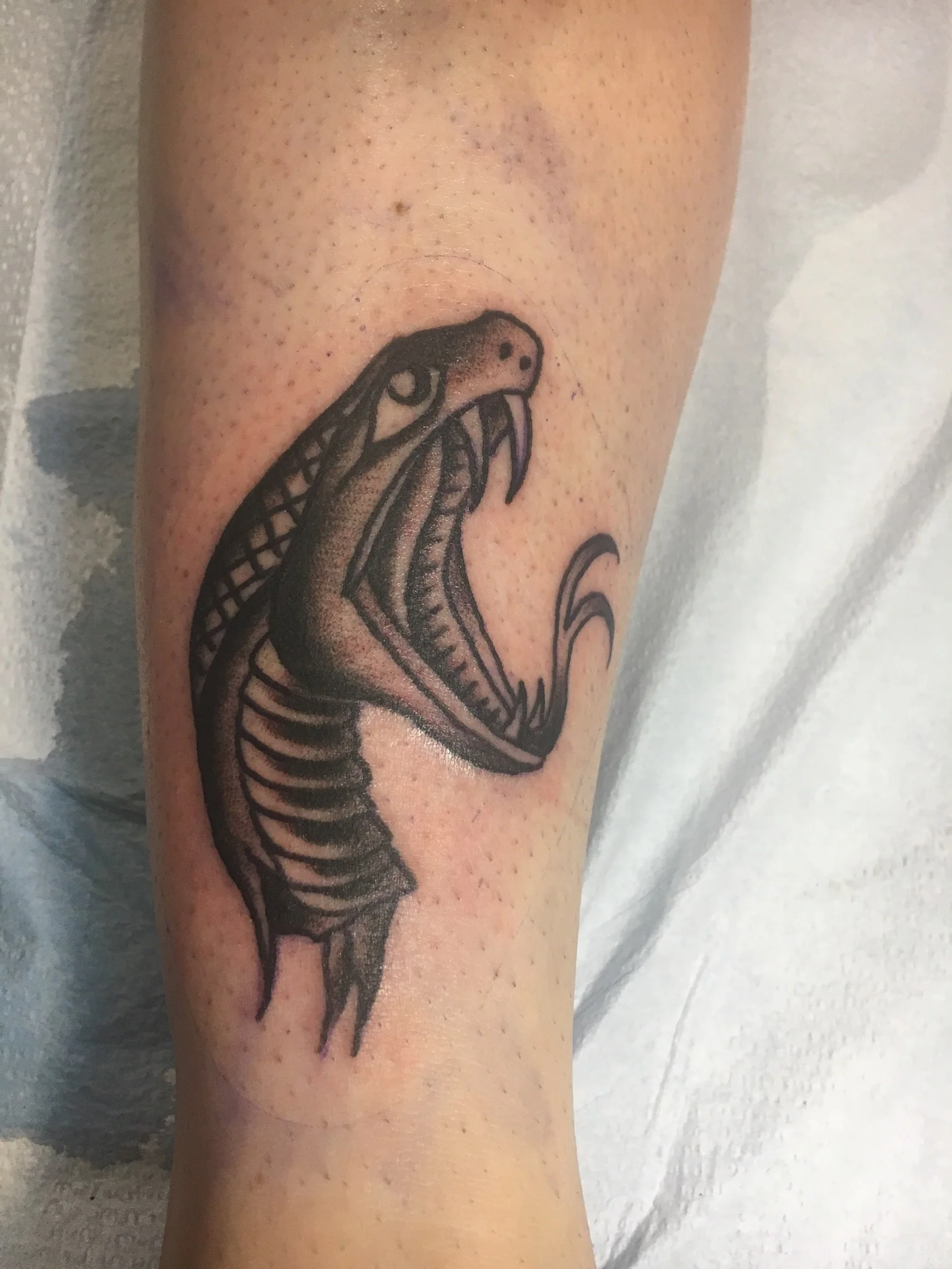 Erik Gillespie // GLT