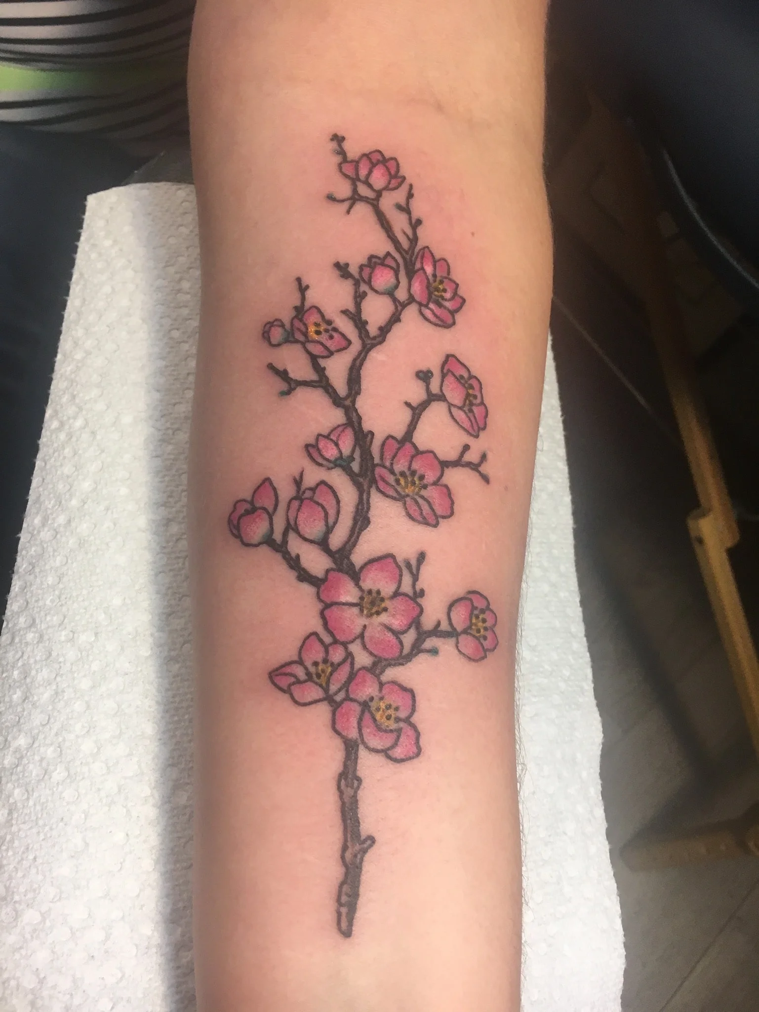 Erik Gillespie // Great Lakes Tattoo - Chicago, IL