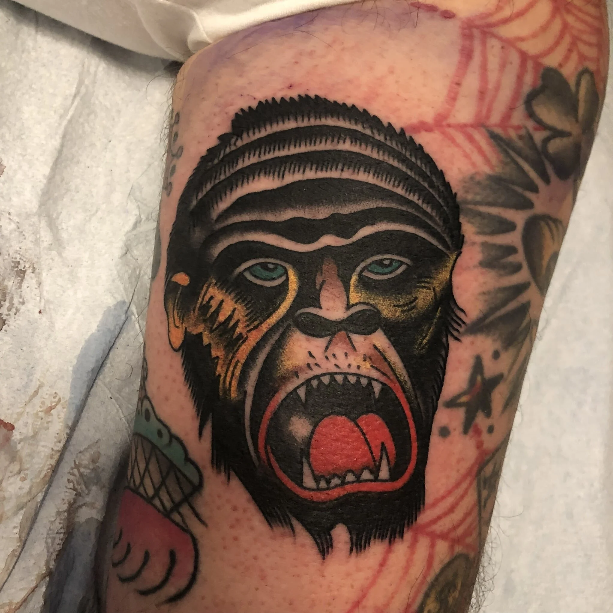 Matt "Beatdown" Ziolko // GLT 