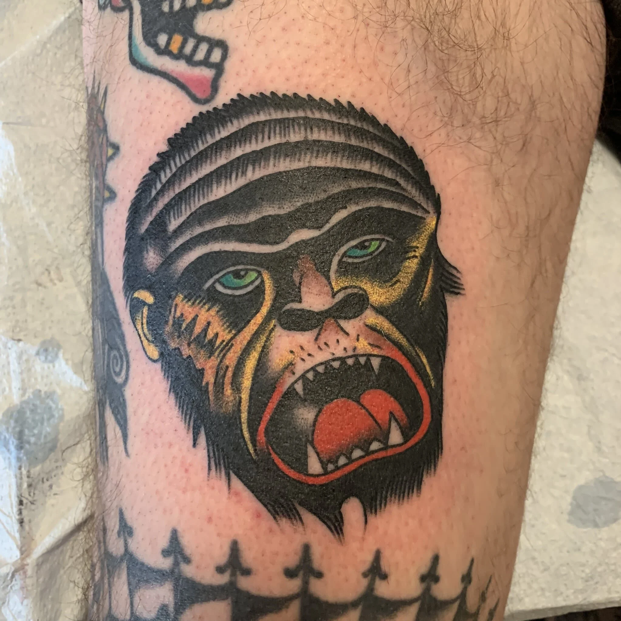 Matt "Beatdown" Ziolko // GLT