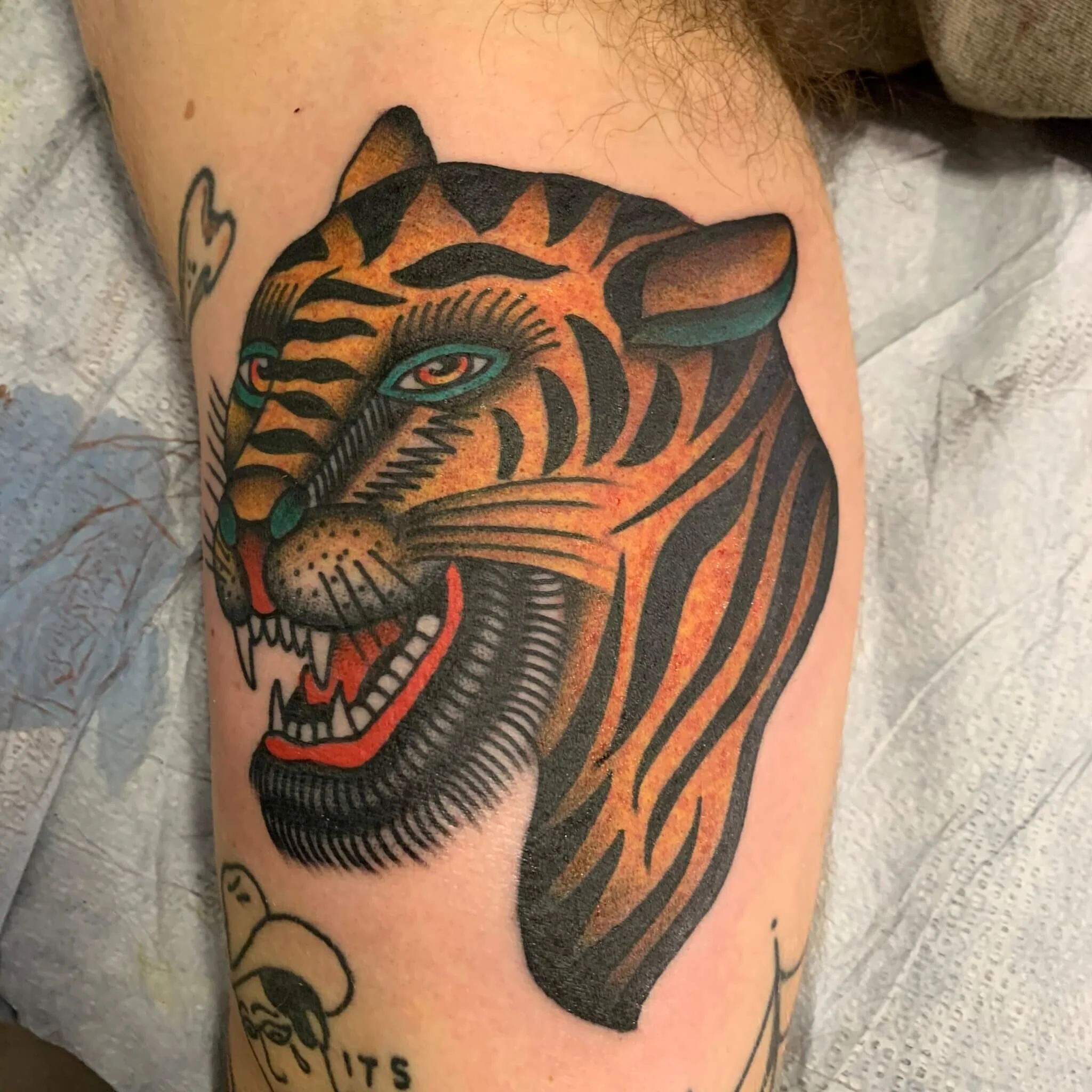 Matt "Beatdown" Ziolko // GLT