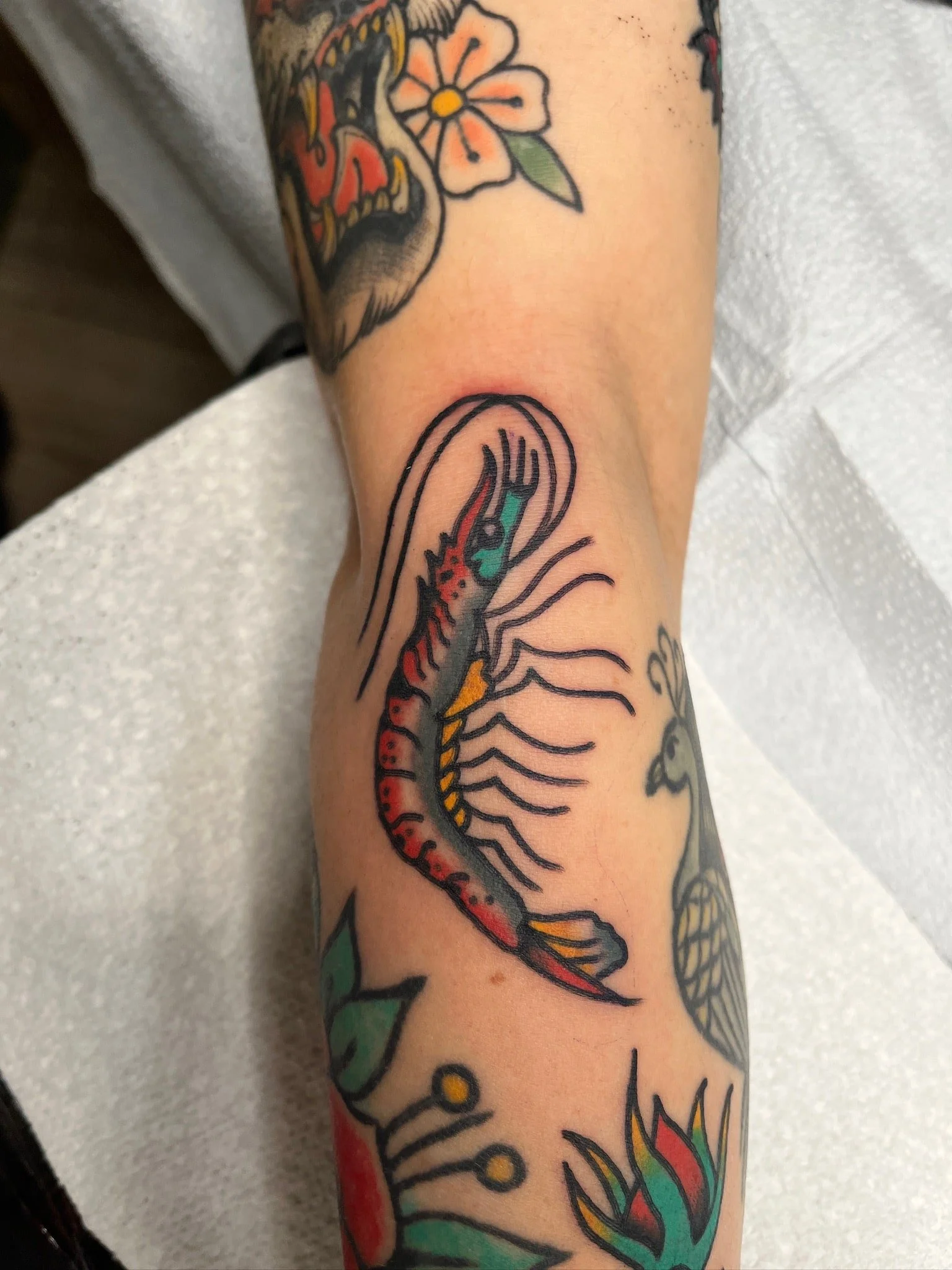 traditional-shrimp-ocean-tattoo-arm.jpg